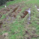 A puggy bog. Cambridge Tree Trust